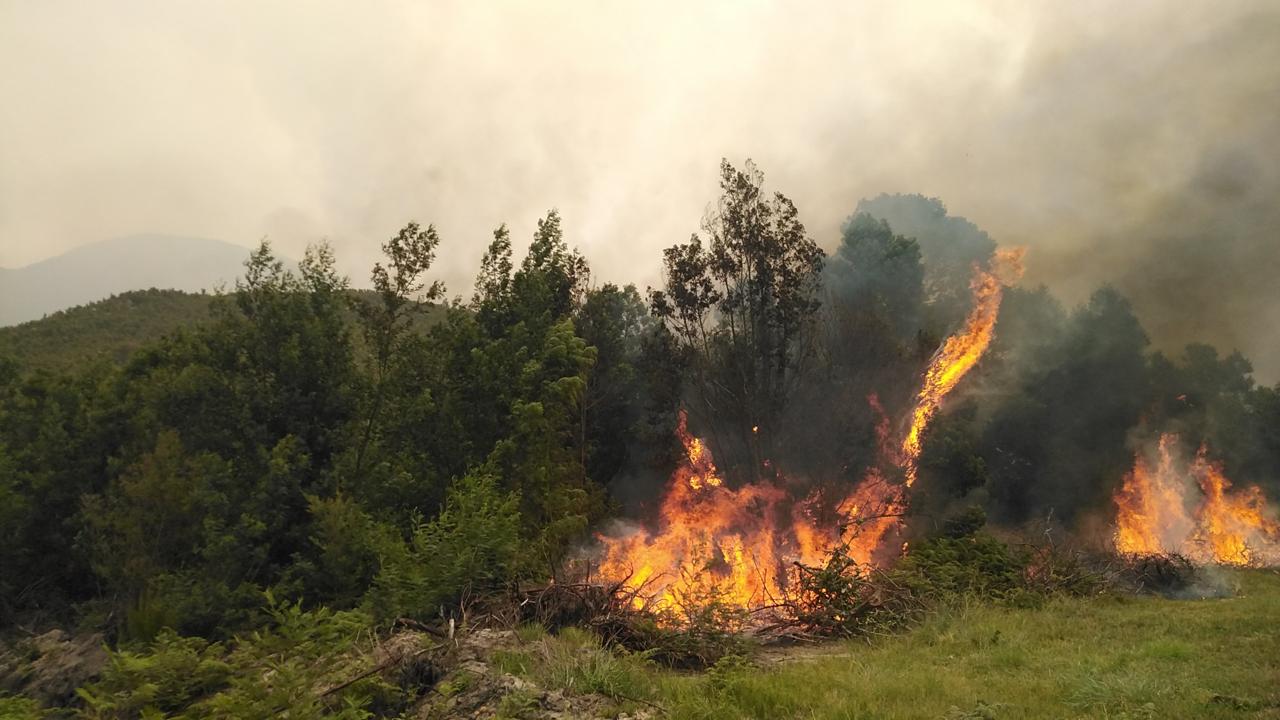 Unite to Make our Province Stronger & Better/ Leaving no one behind